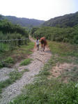 blogimage080803012.JPG