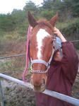 blogimage081124-01.JPG