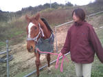 blogimage081124-02.JPG