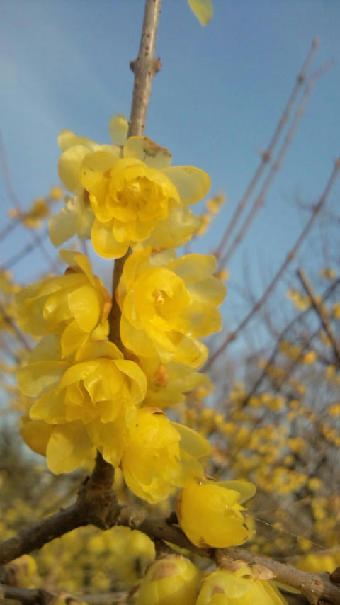 20120122152044.jpg