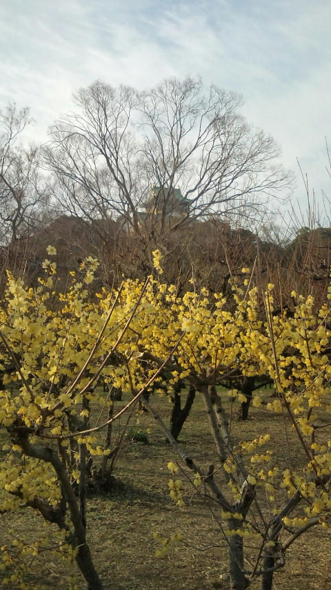 20120122153108.jpg