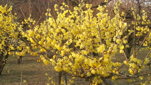 20120122153238.jpg