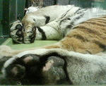 200801301314001.jpg