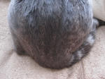 d3779ee7.JPG