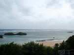 P8051161.JPG