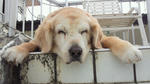 201112050915000.jpg