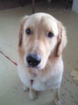 201112111057000.jpg