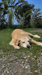 201201271145001.jpg