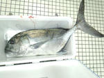 IMG_20120324_080215.jpg