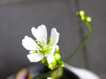 e7d4394f.jpg