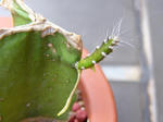 ba60d26e.jpg