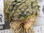 f6ae7600.jpg