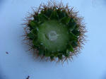 14e404b0.jpg