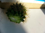 3d553223.jpg