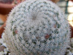 e56c900f.jpg