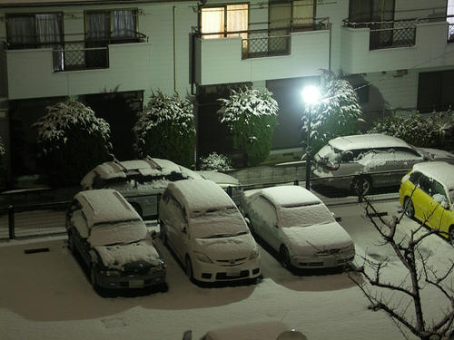snow2.jpg