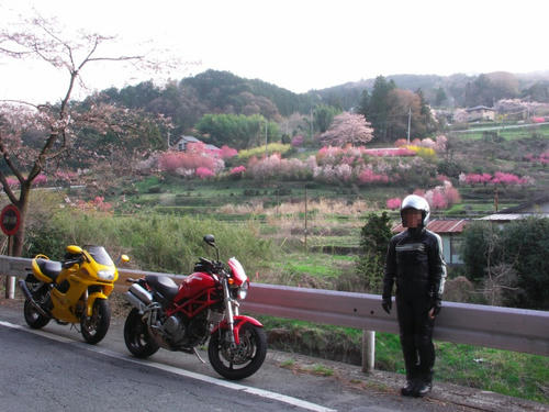 ogano06.jpg