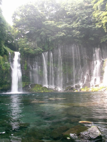 fuji5ko_10.jpg