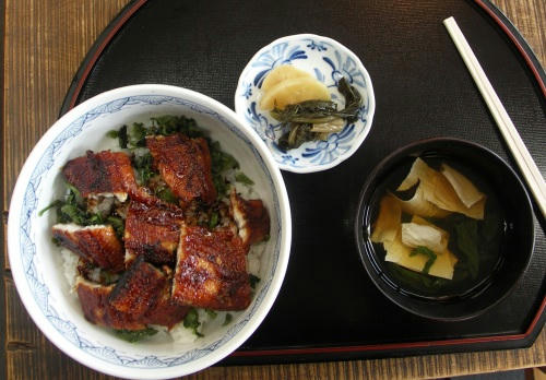 kazu_nikko09.jpg