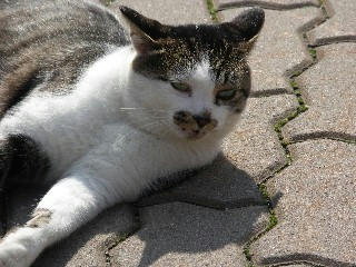 PICT5990.jpg