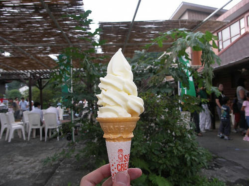 PICT6113.jpg