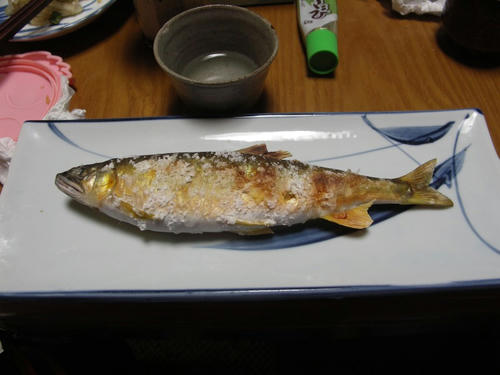 13.jpg