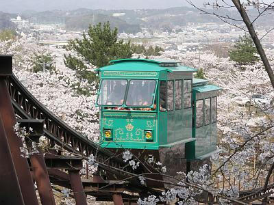 sakura04.jpg