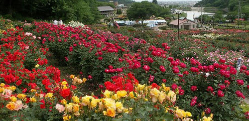 higashisawa_01.jpg