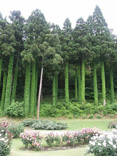 higashisawa_03.jpg