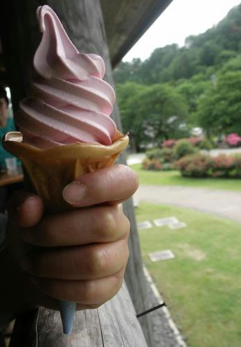 higashisawa_12.jpg