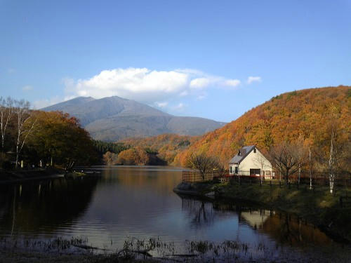 2009aki02.jpg