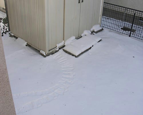 10NewY01.jpg