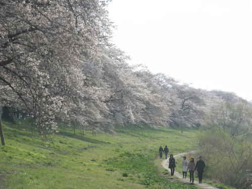 senbon02.jpg