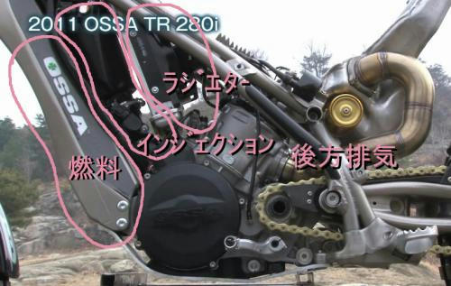 ossa_008.jpg