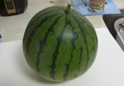 suica04.jpg