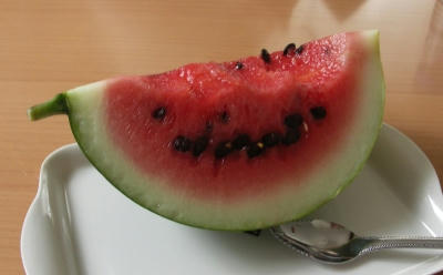 suica06.jpg