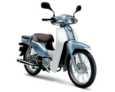 cub110.jpg