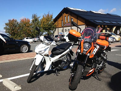 duke002.jpg