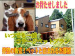 pack-015.jpg