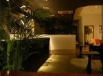 DSC00258-1.JPG
