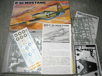Ｐ－５１　ＭＵＳＴＡＮＧ　ＮＯＲＴＨ　ＡＦＲＩＣＡ