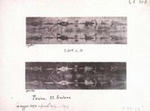 聖骸衣 / Shroud of Turin 1898-photo