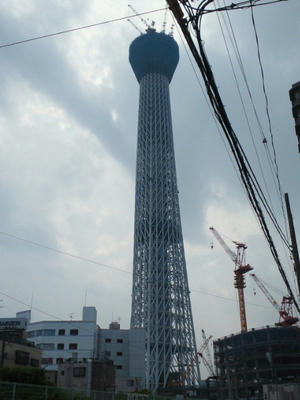 NEC_0197.jpg