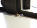 P1020355_2.jpg