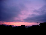 P1020367_2.jpg