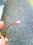 SN360651.JPG