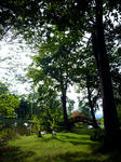 P1020640_mixi.jpg