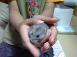 SBSH0089.JPG