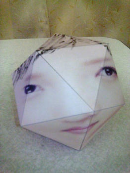 Rikahedron2