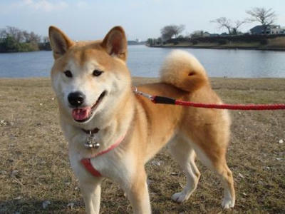 笑顔が素敵でしょう！！